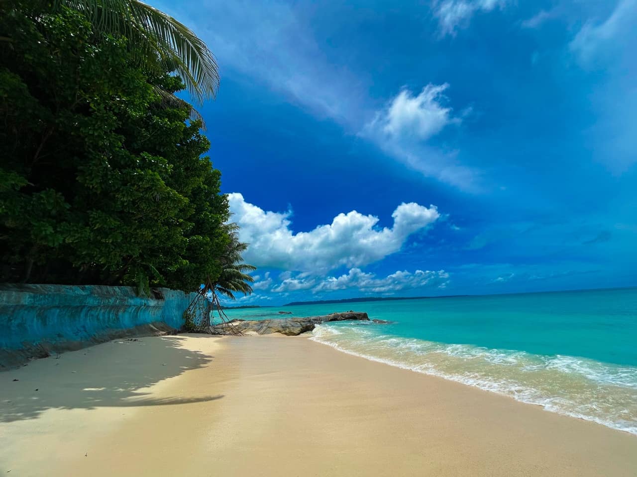 Palm-lined shoreline at Kalapathar Beach on Havelock