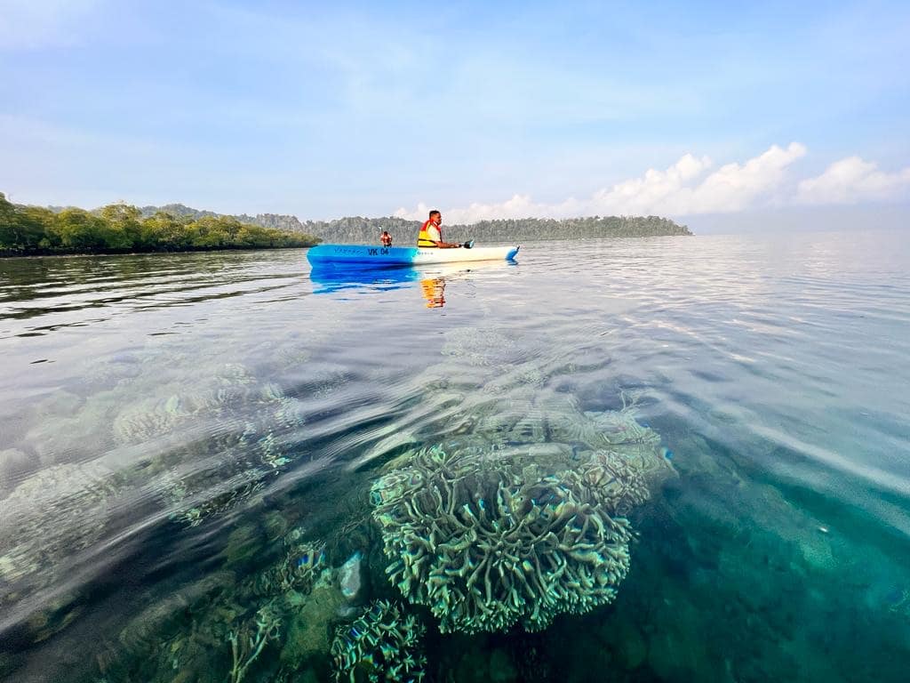 A double kayak on calm water at Havelock at sunrise, at the end of the bioluminescence trip