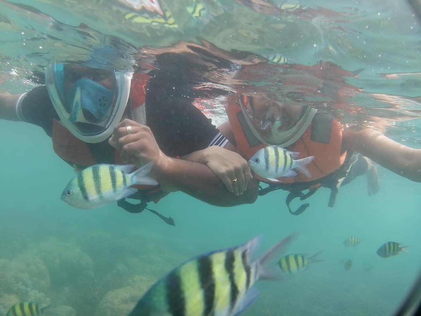 Two snorkellers underwater with striped reef fish close by, Andaman waters